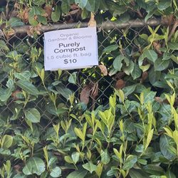 Garden Fever