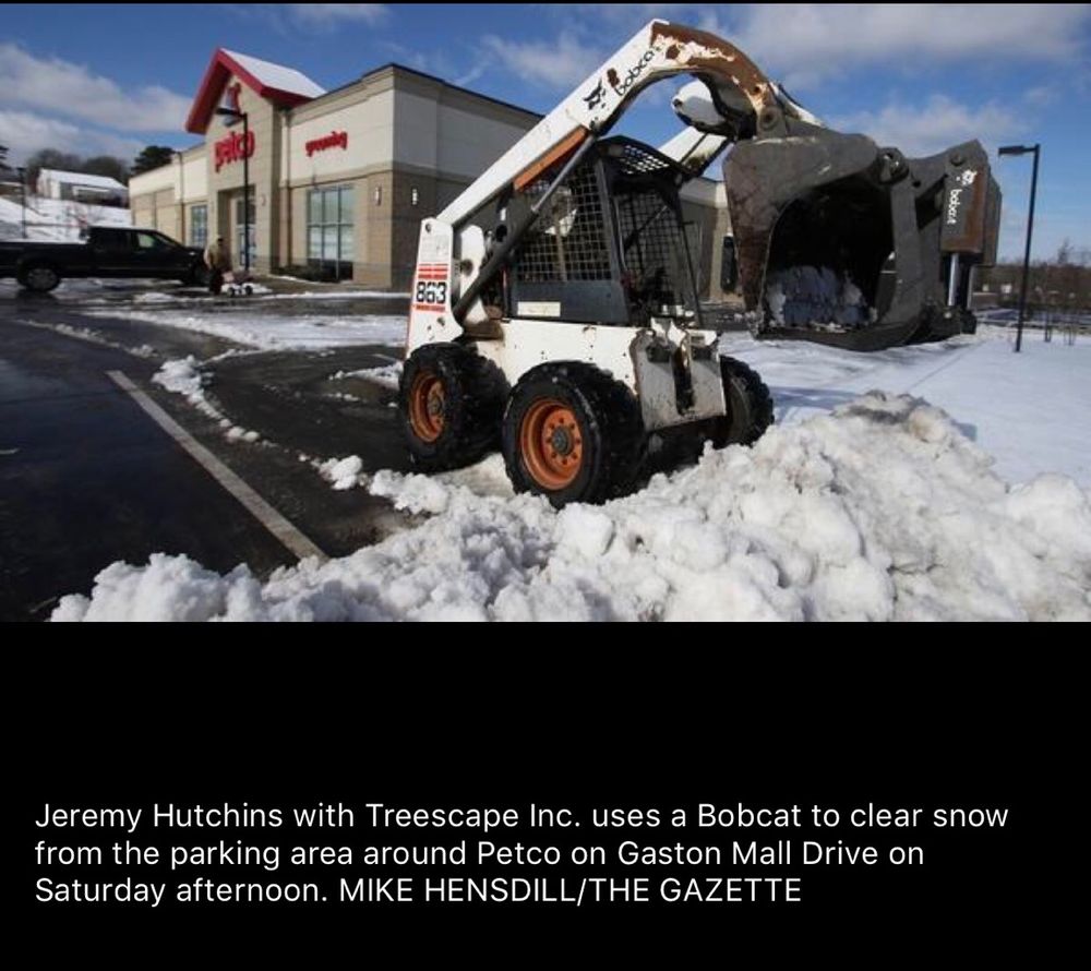 Treescape Tree Experts - tree service in Charlotte, NC