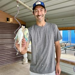 Lost Creek Safari - Parakeet enclosure