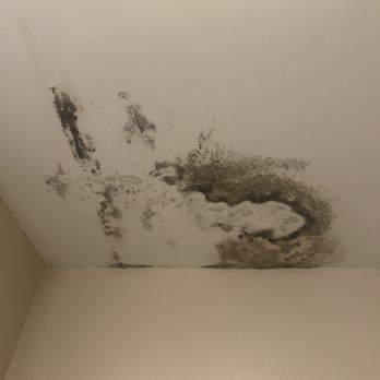 Aston Apartments - Black mold on the ceiling that was painted over. - Apartments Near Me - Wake Forest, North Carolina Aston Apartments - Black mold on the ceiling that was painted over. - Apartments Near Me - Wake Forest, North Carolina