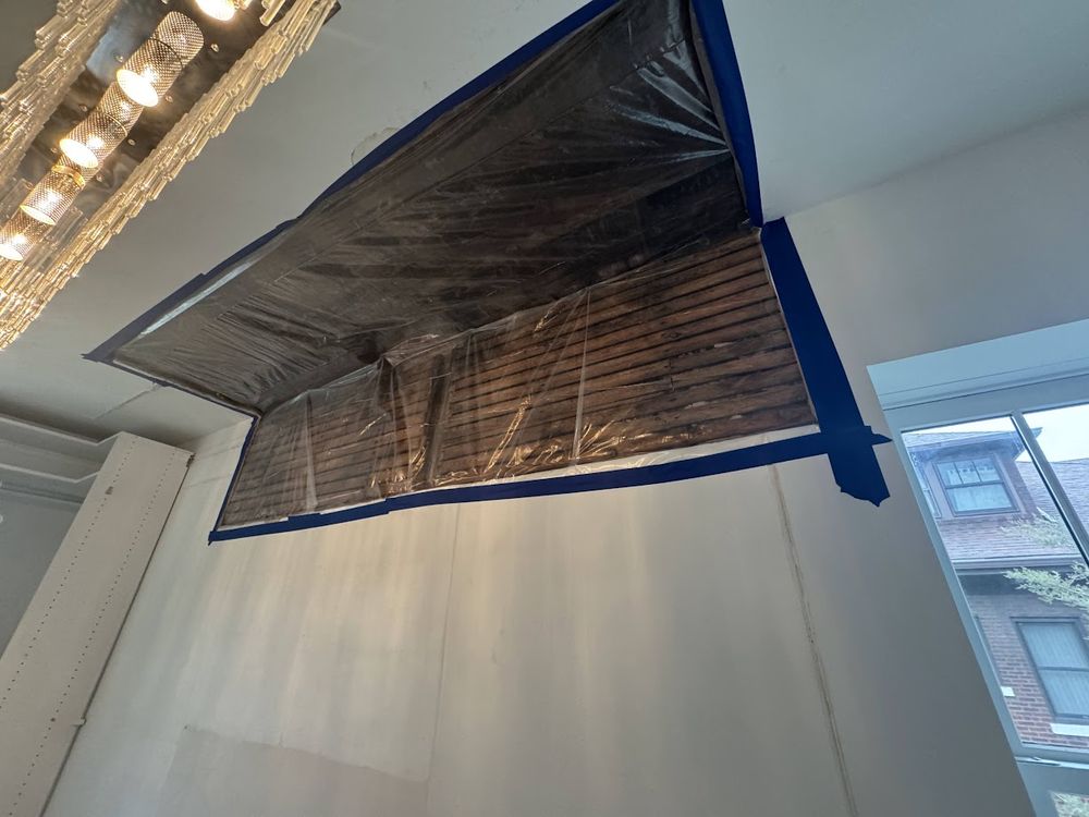 Moldman - Chicago - mold inspector in Chicago, IL