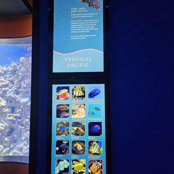 Birch Aquarium - Plaques to explain what's in the tank - Aquariums Near Me - La Jolla, California Birch Aquarium - Plaques to explain what's in the tank - Aquariums Near Me - La Jolla, California