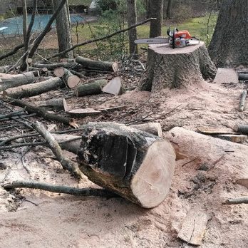 JT Outdoor Services & Home Improvement - In the middle of taking multiple trees down. - Tree Services Near Me - Culpeper, Virginia JT Outdoor Services & Home Improvement - In the middle of taking multiple trees down. - Tree Services Near Me - Culpeper, Virginia