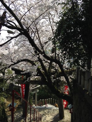 Atago Shrine by null