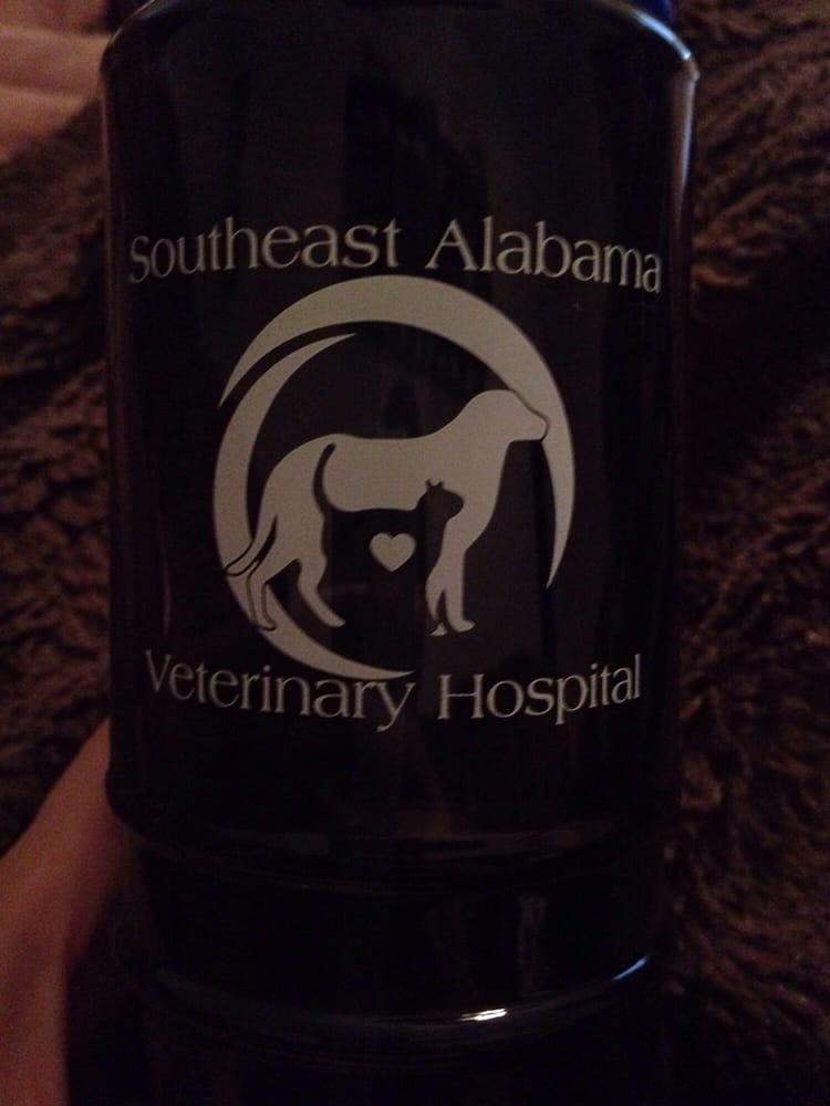 SOUTHEAST ALABAMA VETERINARY HOSPITAL Updated July 2024 540
