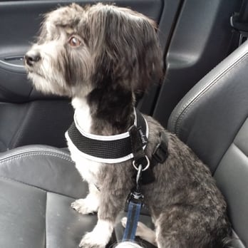 the bath house pet salon