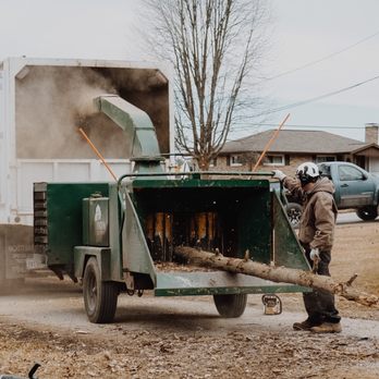 Kingdom Tree Removal and Land Clearing - Our wood chipper doing its job! - Tree Services Near Me Kingdom Tree Removal and Land Clearing - Our wood chipper doing its job! - Tree Services Near Me