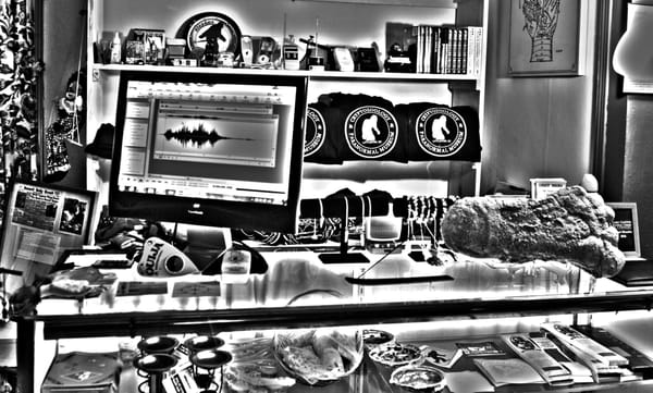 The Cryptozoology & Paranormal Museum by null