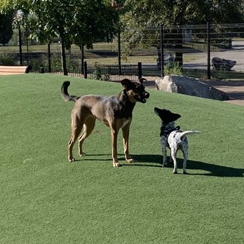 Patterson Dog Park - Dog Parks Near Me - Baltimore, Maryland