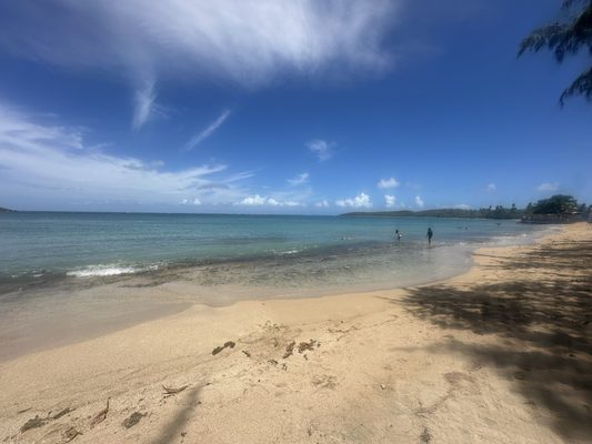 Seven Seas Beach by null