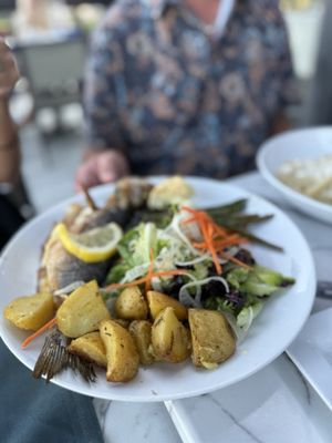 Amalfi Cucina Italiana - San Marcos by null