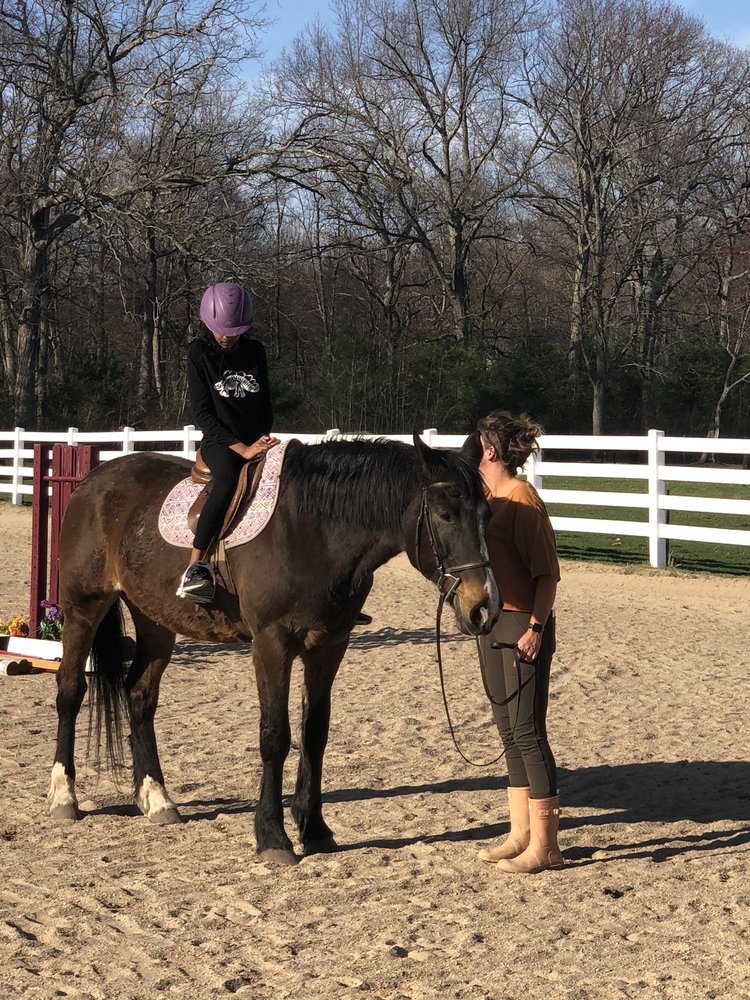 Seven J's Farm - equestrian in Glastonbury, CT