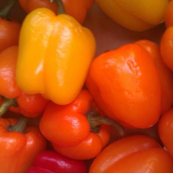 Wild Cherry - Delis Near Me - Brighton, BNH Wild Cherry - Delis Near Me - Brighton, BNH