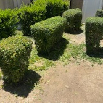 Sweethome Service - Trimming - Landscaping Near Me - Menifee, California Sweethome Service - Trimming - Landscaping Near Me - Menifee, California