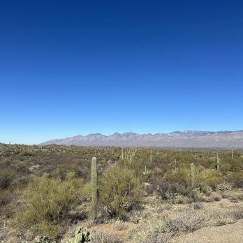 Saguaro National Park - Parks Near Me - Tucson, Arizona Saguaro National Park - Parks Near Me - Tucson, Arizona
