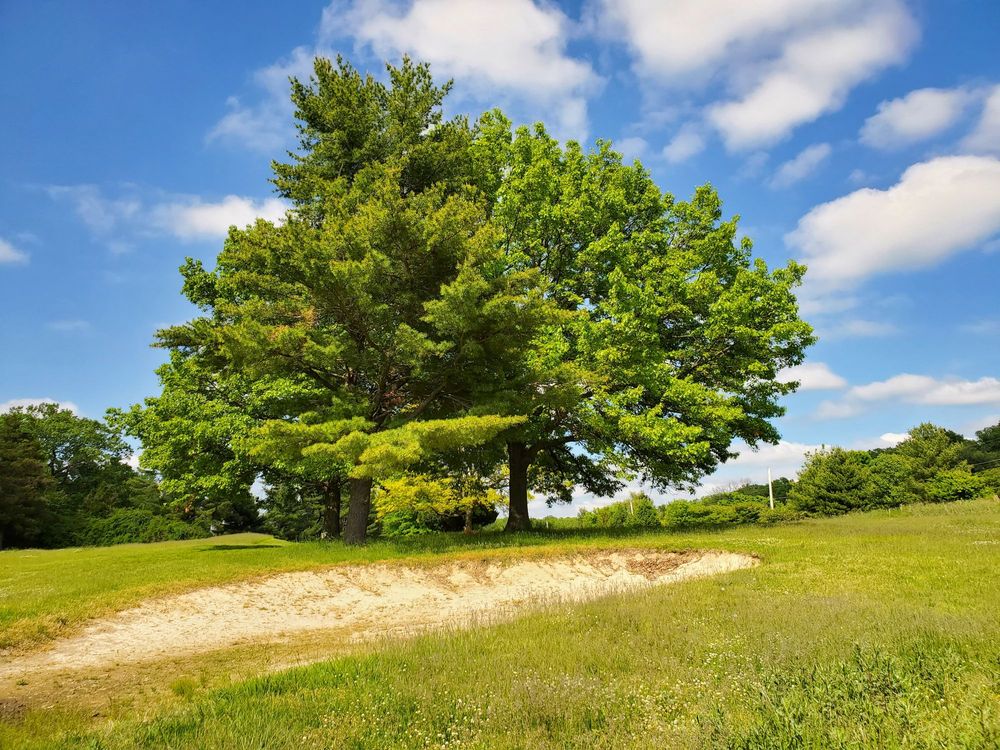 TWINING VALLEY PARK Updated May 2024 1400 Twining Rd, Dresher