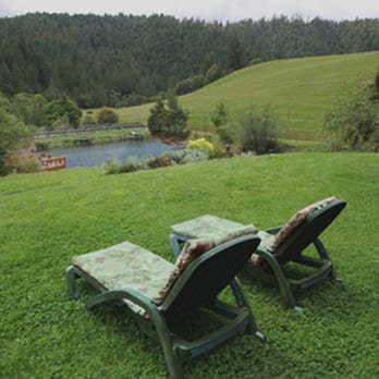 Shambhala Ranch - View of pond from lawn - Bed & Breakfast Near Me - Ukiah, California Shambhala Ranch - View of pond from lawn - Bed & Breakfast Near Me - Ukiah, California