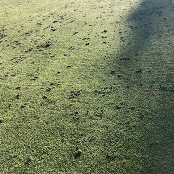 River Oaks Golf Course - Grass clippings - Golf Near Me - Ceres, California River Oaks Golf Course - Grass clippings - Golf Near Me - Ceres, California
