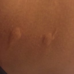STAY AWAY! Dirty water! NO HEAT! BEDBUGS! STAY AWAY! Dirty water! NO HEAT! BEDBUGS!