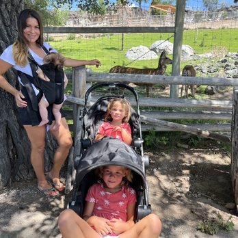 Zoo Idaho- Pocatello - Kids at the zoo - Aquarium Services Near Me - Pocatello, Idaho Zoo Idaho- Pocatello - Kids at the zoo - Aquarium Services Near Me - Pocatello, Idaho