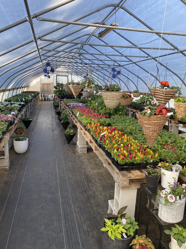 SOUTHERN ROSE GREENHOUSE TEMP. CLOSED Updated October 2024