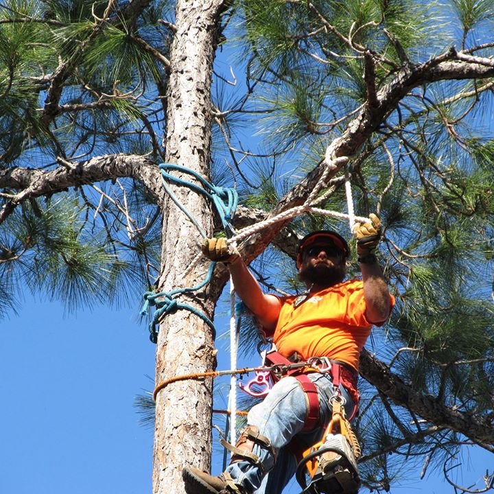 ARBOR BARBER TREES Updated June 2024 11 Photos 326 Smith Rd