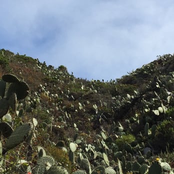 Garrapata State Park - Hiking Near Me