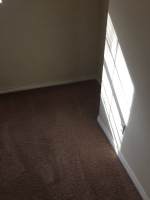 Steam Solutions Carpet Care