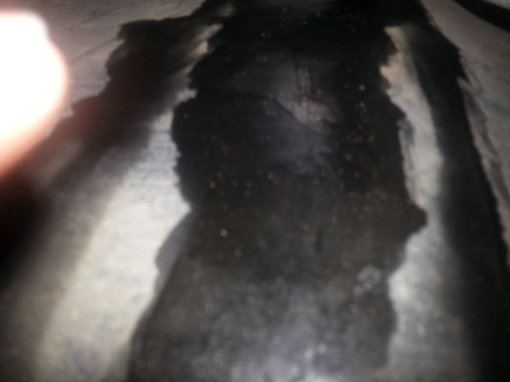 ALBERT’S AUTOMOTIVE Updated May 2024 900 S Chadbourne St, San