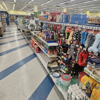 Dollar Tree - Inside the store - Discount Store Near Me - Burbank, California