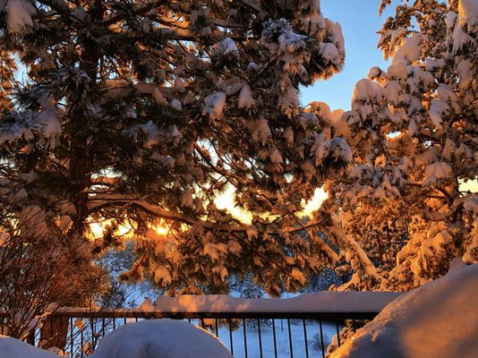 Pine Ridge Inn by null