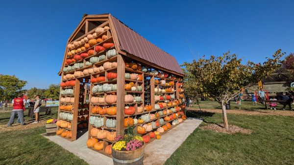 Stalker Farms- Haunted Attractions (Stocker Farms) by null