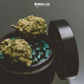 Miracle Leaf - Medical Cannabis Referrals Near Me - Margate, Florida