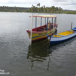 Bar Ilha