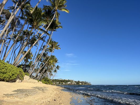 Diamond Head Beach Park by null