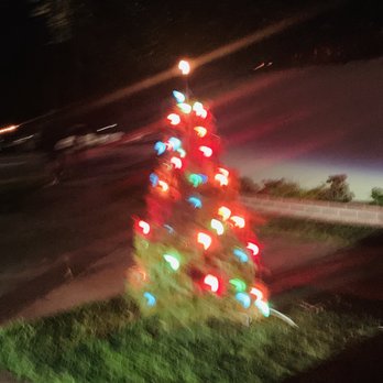 Christmas Tree Lane - Local Flavor Near Me - Palo Alto, California