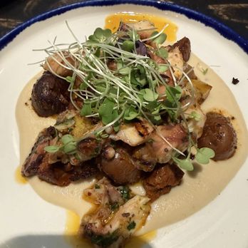 SOCIAL BIRD - Octopus - Gastropubs Near Me - Lafayette, California SOCIAL BIRD - Octopus - Gastropubs Near Me - Lafayette, California