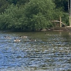 Colonel Francis Beatty Park - July 12, 2022