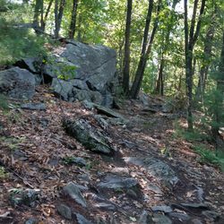 Goat Rock Ridge Trail - Nearing the top.