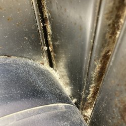Shady Nook - Needs a deep cleaning