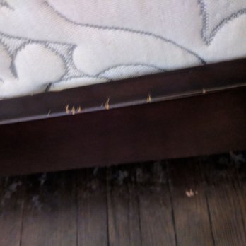 Up N Go Moving & Storage - Movers Near Me - Queens, New York
