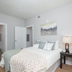 Paragon Luxury Apartments