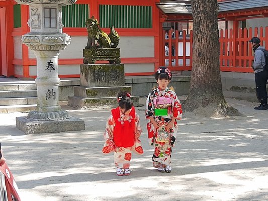 Sumiyoshi Shrine by null