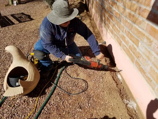 Subterranean Termite Treatments - Subterranean Termites do more structural damage in cost of repair than any other disaster in Southern Arizona. Subterranean Termite Treatments - Subterranean Termites do more structural damage in cost of repair than any other disaster in Southern Arizona.