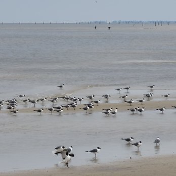 Bay St. Louis Beach - Beaches Near Me - Bay St Louis, Mississippi