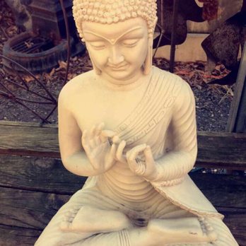 Pablo's Garden - Nurseries & Gardening Near Me - Rockville, Maryland