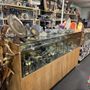 Asheville's Best Gem Mine