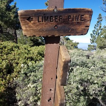 San Bernardino Peak - Hiking Near Me San Bernardino Peak - Hiking Near Me