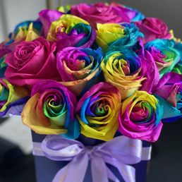 Rainbow Roses Rainbow Roses