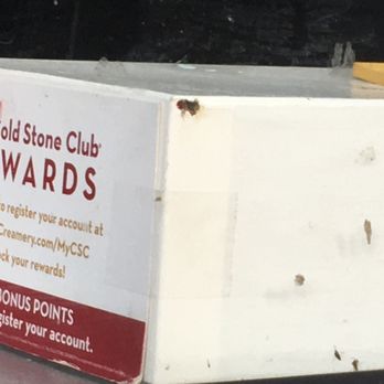 Cold Stone Creamery - Ice Cream & Frozen Yogurt Near Me - Burbank, California